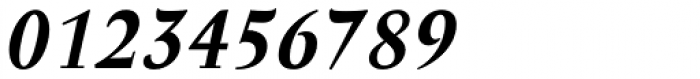 Anselm Serif Bold Italic Font OTHER CHARS