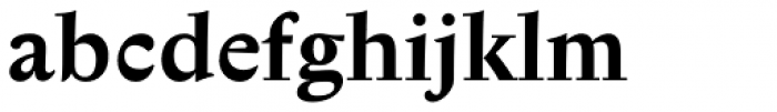 Anselm Serif Bold Font LOWERCASE
