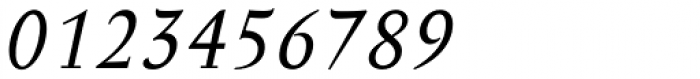 Anselm Serif Italic Font OTHER CHARS