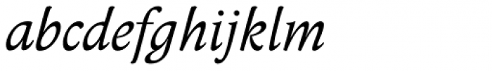 Anselm Serif Italic Font LOWERCASE