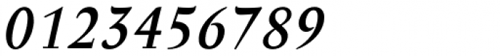 Anselm Serif Medium Italic Font OTHER CHARS