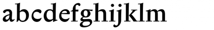 Anselm Serif Medium Font LOWERCASE