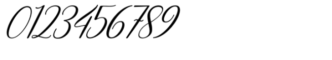 Anteri Signature Italic Font OTHER CHARS