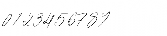 Anthonio Bradley Signature Regular Font OTHER CHARS