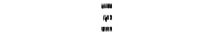 Anamorphe XXMedium Instance Font OTHER CHARS