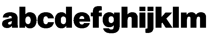 AnonGrotesk Black FONT