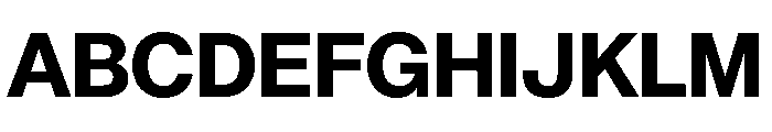 AnonGrotesk Bold Font UPPERCASE