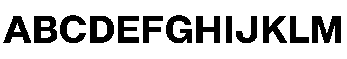 AnonGroteskText Bold Font UPPERCASE