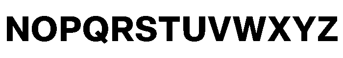 AnonGroteskText Bold Font UPPERCASE