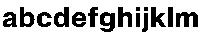 AnonGroteskText Bold FONT