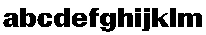 AntarcticaVAR BlackContrast Instance FONT