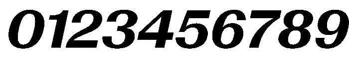 AntarcticaVAR BoldItalicContrast Instance Font OTHER CHARS