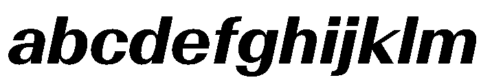 AntarcticaVAR BoldItalicContrast Instance FONT