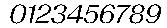 AntarcticaVAR BookItalicContrast Instance Font OTHER CHARS