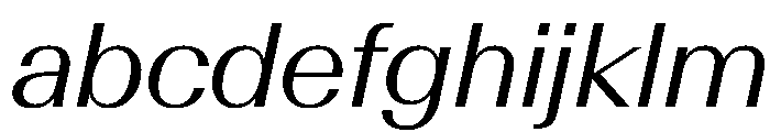 AntarcticaVAR BookItalicContrast Instance FONT