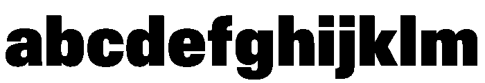 AntarcticaVAR CondensedBlack Instance FONT