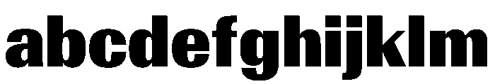AntarcticaVAR CondensedBlackContrast Instance FONT