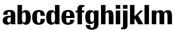 AntarcticaVAR CondensedBoldContrast Instance FONT