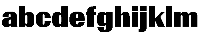 AntarcticaVAR CondensedExtraBlackContrast Instance FONT