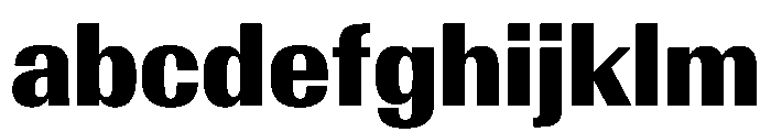 AntarcticaVAR CondensedExtraBoldContrast Instance FONT