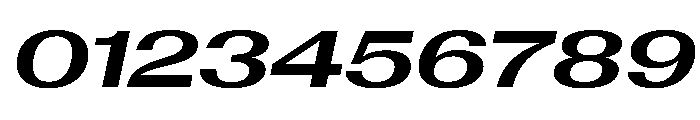 AntarcticaVAR ExpandedBoldItalicContrast Instance Font OTHER CHARS