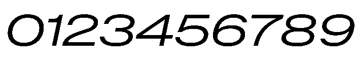 AntarcticaVAR ExpandedBookItalic Instance Font OTHER CHARS