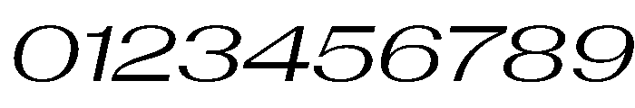 AntarcticaVAR ExpandedBookItalicContrast Instance Font OTHER CHARS