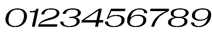 AntarcticaVAR ExpandedItalicContrast Instance Font OTHER CHARS