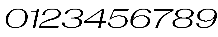 AntarcticaVAR ExpandedLightItalicContrast Instance Font OTHER CHARS