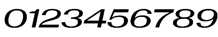 AntarcticaVAR ExpandedMediumItalicContrast Instance Font OTHER CHARS