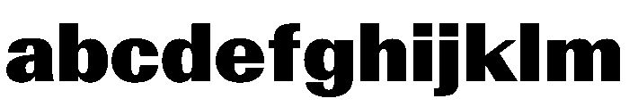 AntarcticaVAR ExtraBlackContrast Instance FONT