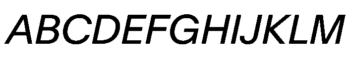 AntarcticaVAR Italic Instance Font UPPERCASE
