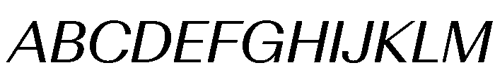 AntarcticaVAR ItalicContrast Instance Font UPPERCASE