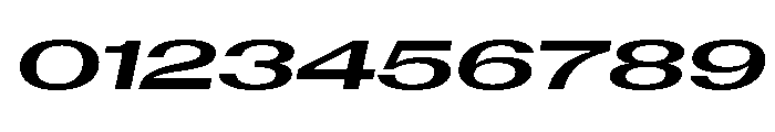 AntarcticaVAR UltraExpandedBoldItalicContrast Instance Font OTHER CHARS