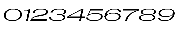 AntarcticaVAR UltraExpandedBookItalicContrast Instance Font OTHER CHARS