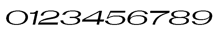 AntarcticaVAR UltraExpandedItalicContrast Instance Font OTHER CHARS
