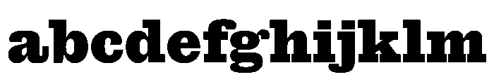Antique No. 6 Extrabold FONT