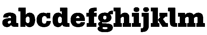 Aptos Slab Black FONT