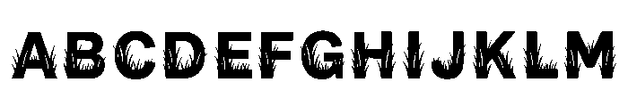 Apera Regular Font UPPERCASE