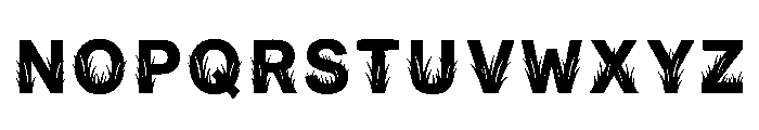 Apera Regular Font LOWERCASE
