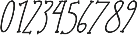 Apple Owl Italic otf (400) Font OTHER CHARS