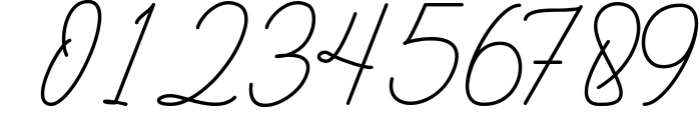 Apollo Butler Signature Font OTHER CHARS