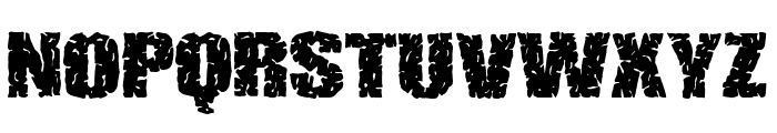 Apollonian & Dionysian Font LOWERCASE