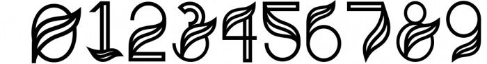Aquarius - A Tropical & Elegant Font Family 1 Font OTHER CHARS