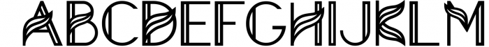 Aquarius - A Tropical & Elegant Font Family 1 Font UPPERCASE
