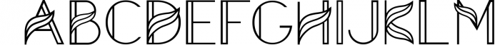 Aquarius - A Tropical & Elegant Font Family 4 Font UPPERCASE