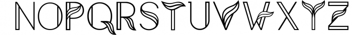 Aquarius - A Tropical & Elegant Font Family 4 Font UPPERCASE