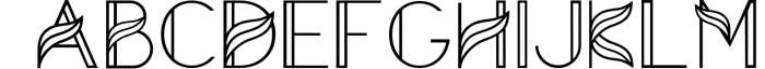 Aquarius - A Tropical & Elegant Font Family 4 Font LOWERCASE