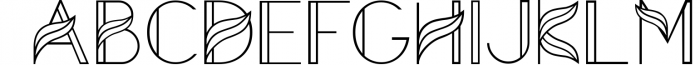 Aquarius - A Tropical & Elegant Font Family Font UPPERCASE