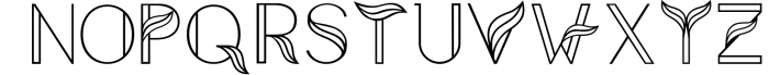 Aquarius - A Tropical & Elegant Font Family Font LOWERCASE